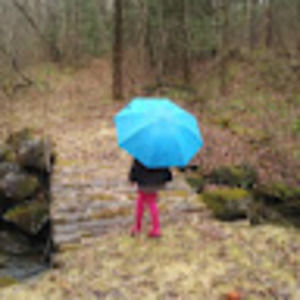 Meet your Posher, Rigel